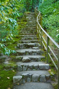 Stone Staircase