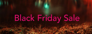 black friday sale