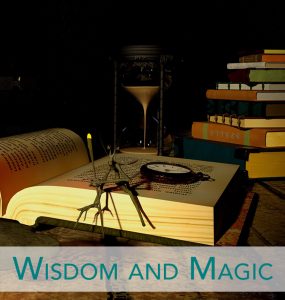 wisdom and magic sessions and programs