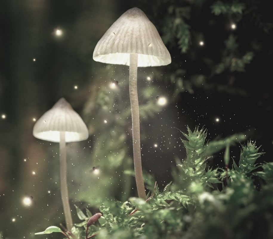 Copy of Copy of Copy of Copy of practical everyday magic header reenchanting your life