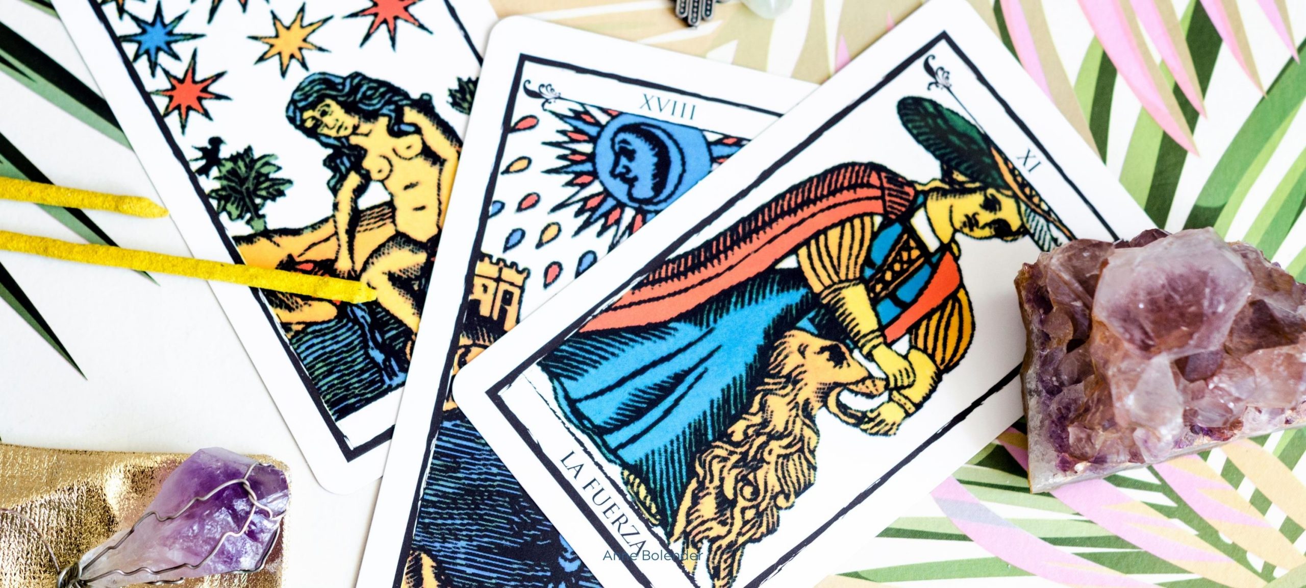 your tarot year card Marseille Tarot Card Header for Your Tarot Year Card