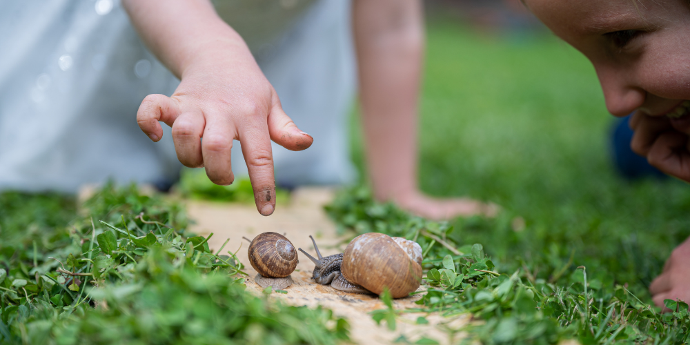 curiouser and curiouser - the curiosity of a child