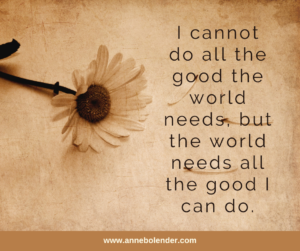 I cannot do all the good the world needs, but the world needs all the good I can do