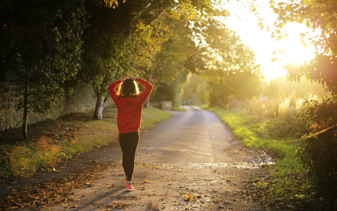 stories we tell ourselves - woman walking down a country lane, her back is to the camera, she is deep in thought