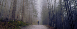 a lone figure walks a path through a foggy forest