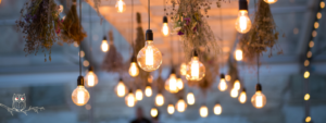 dozens of glass light bulbs hand from a wooden cover, outside at sunset